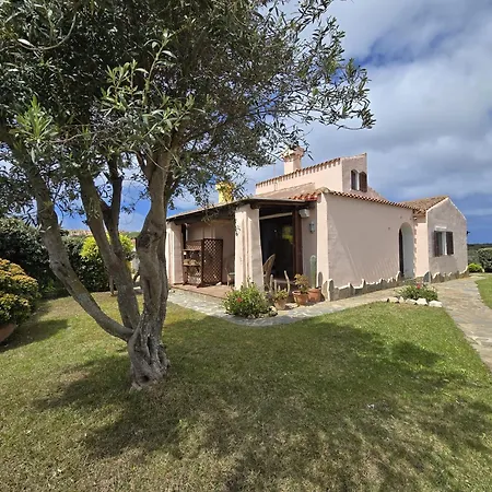 Sofia Villa